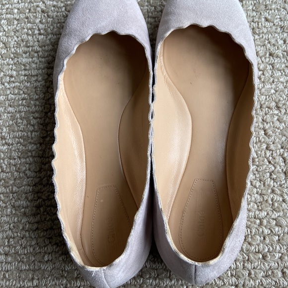 Chloe Lauren ballet flats shoes in pale gray suede - Picture 5 of 6